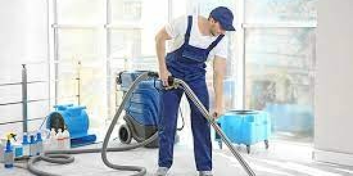 Why Professional Carpet Cleaning Is Essential for Home Aesthetics