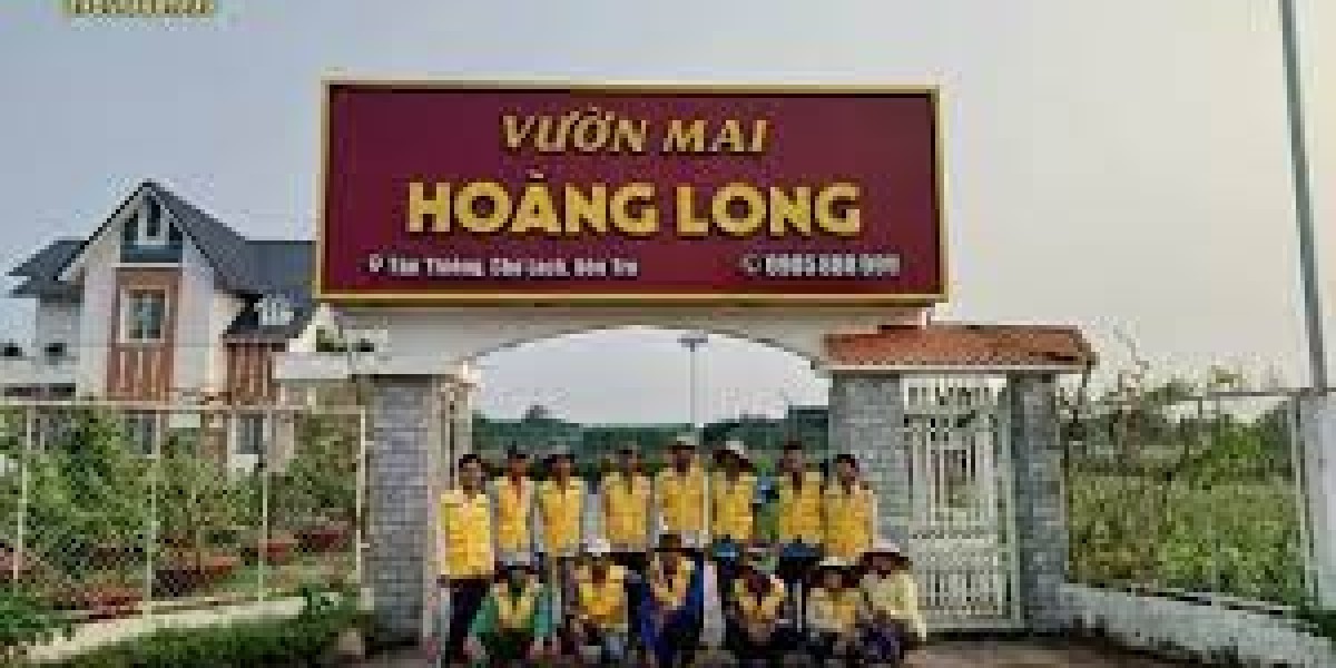 Cây mai vàng giá 1,3 tỷ ở Đắk Lắk, cùng xem lại hình ảnh đẹp trưng bày tại 1 chợ hoa tết