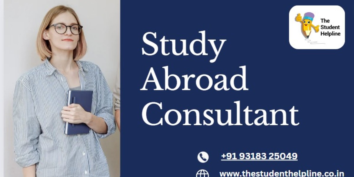 Maximizing Your Chances of Success with a Study Abroad Consultant