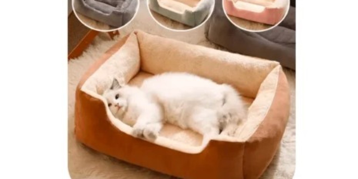 Discover Comfort for Your Pets with Pet Itz Dog Beds and Cat Basket Bed