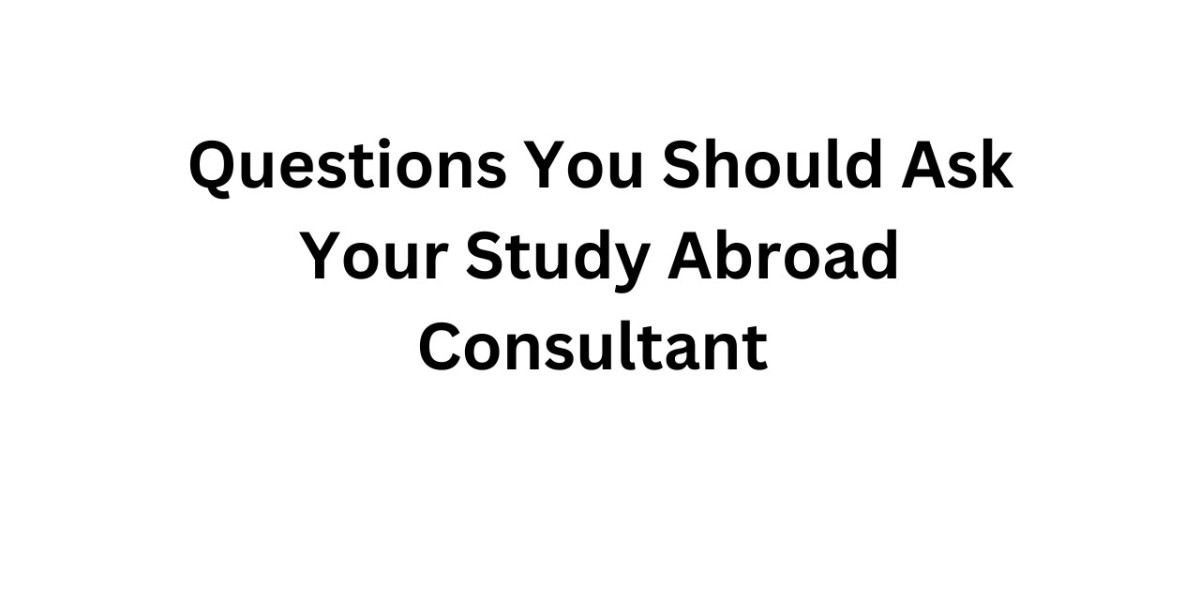 Questions You Should Ask Your Study Abroad Consultant