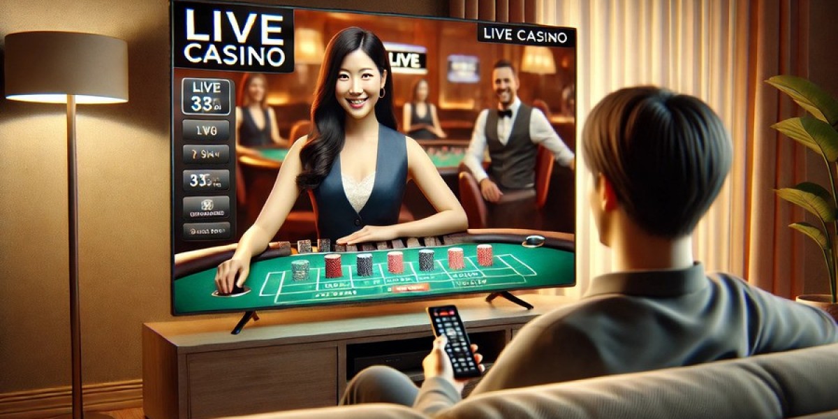 Explore the Casino Site Experience