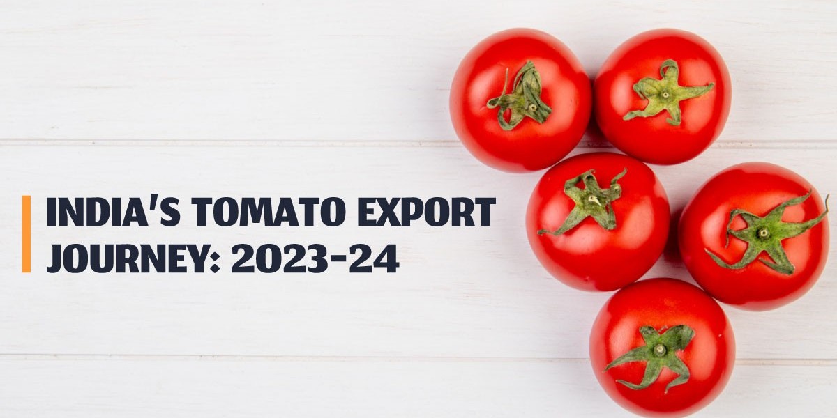 India’s Tomato Export Journey: 2023-24