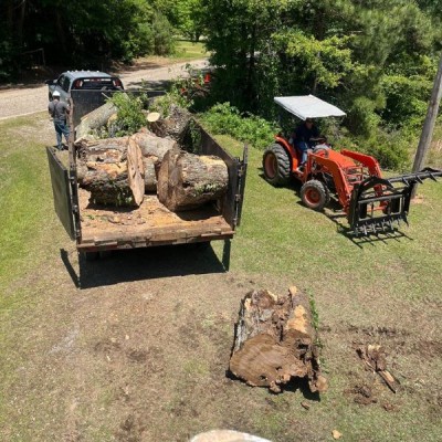 Best Tree Removal Services in Mississippi Profile Picture